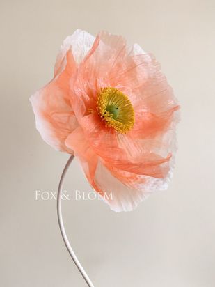 photo1647283122